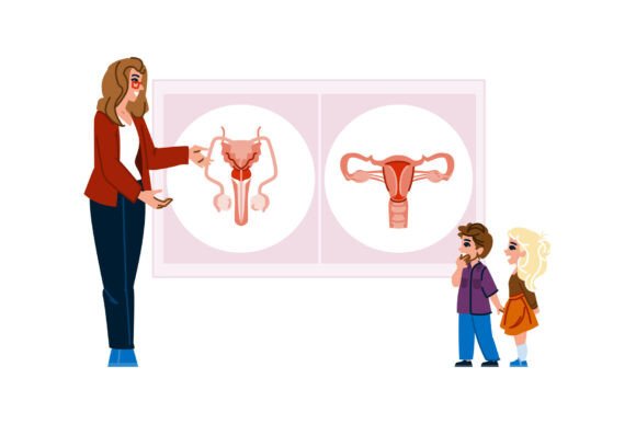 The Evolution of Visual Pedagogy: Understanding the Teacher Explaining Human Reproductive Systems
